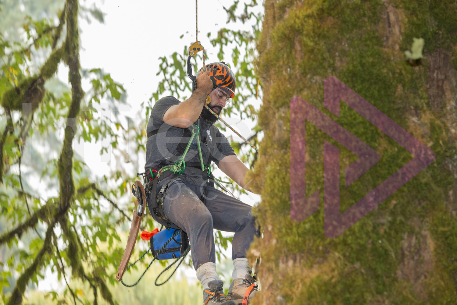 BCTCC_2022-Arborist-Stock-Photo-001-22-7268