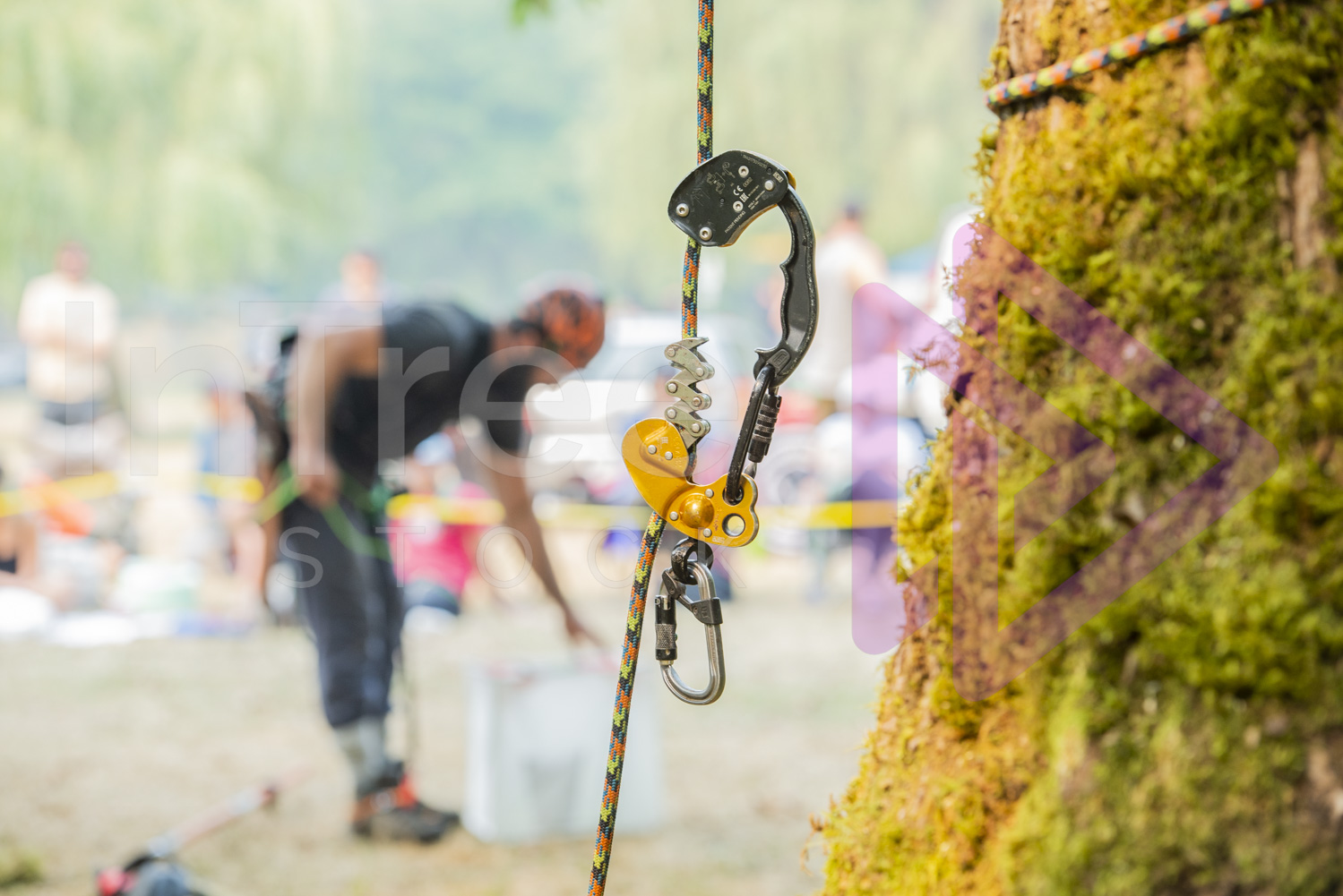 BCTCC_2022-Arborist-Stock-Photo-001-22-7269