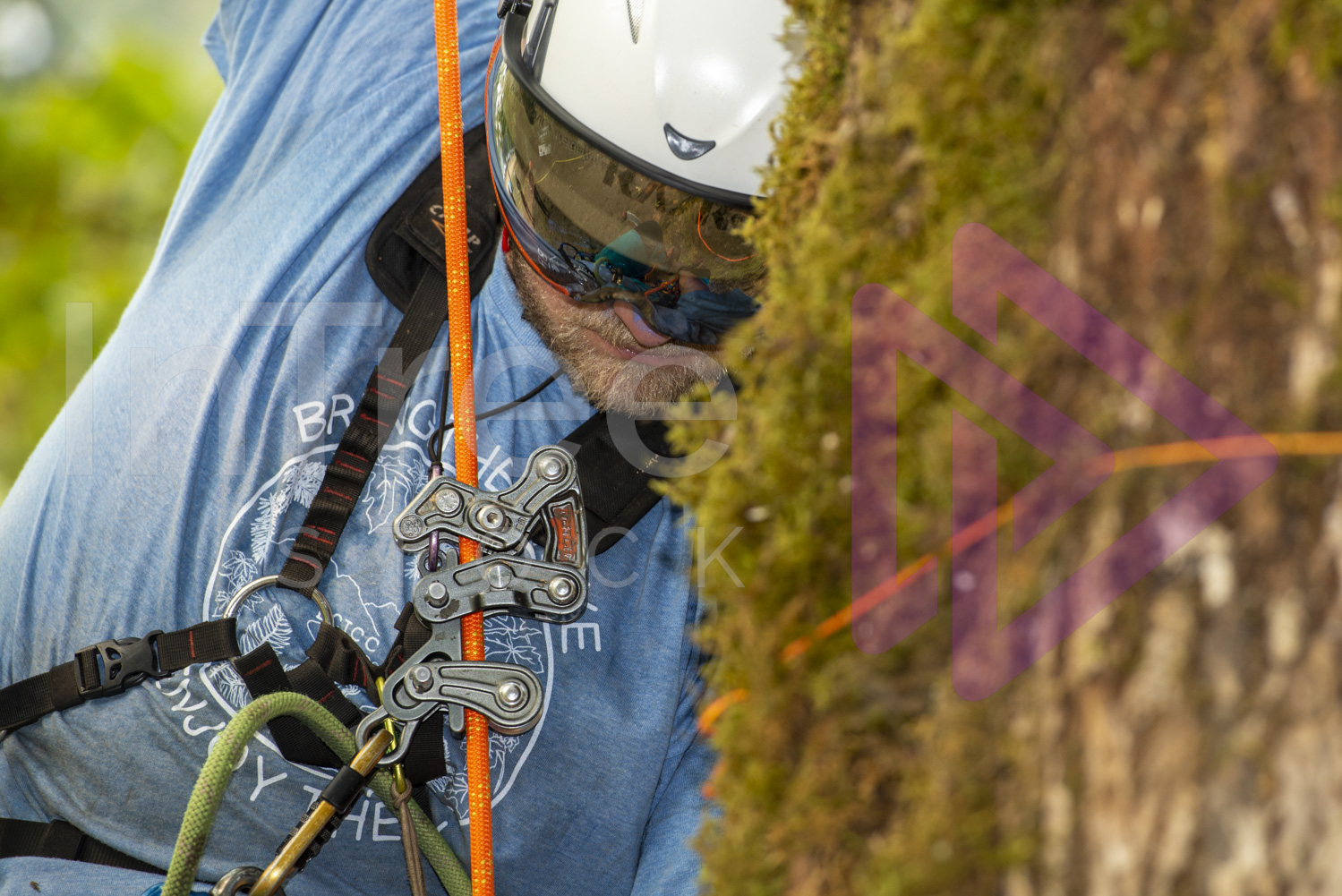 BCTCC_2022-Arborist-Stock-Photo-001-22-7293