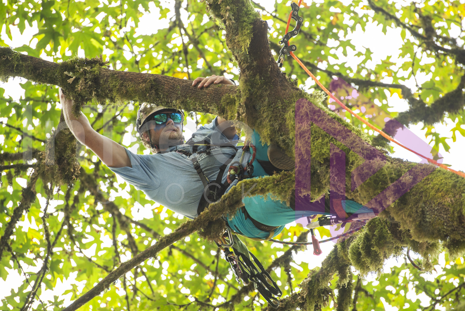 BCTCC_2022-Arborist-Stock-Photo-001-22-7296