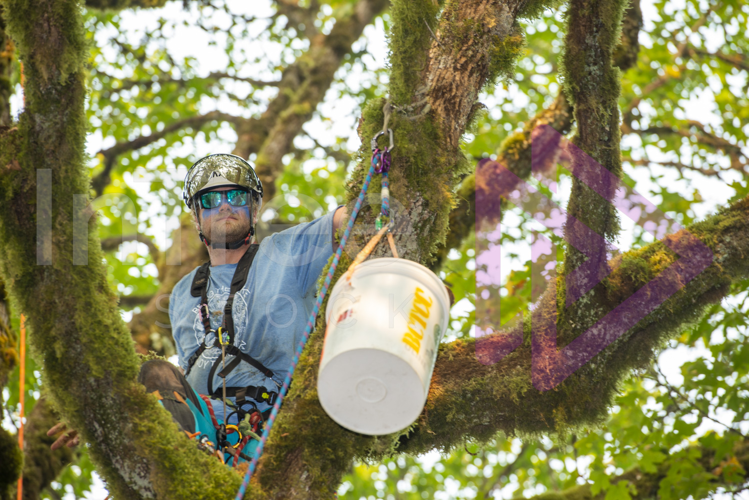 BCTCC_2022-Arborist-Stock-Photo-001-22-7303