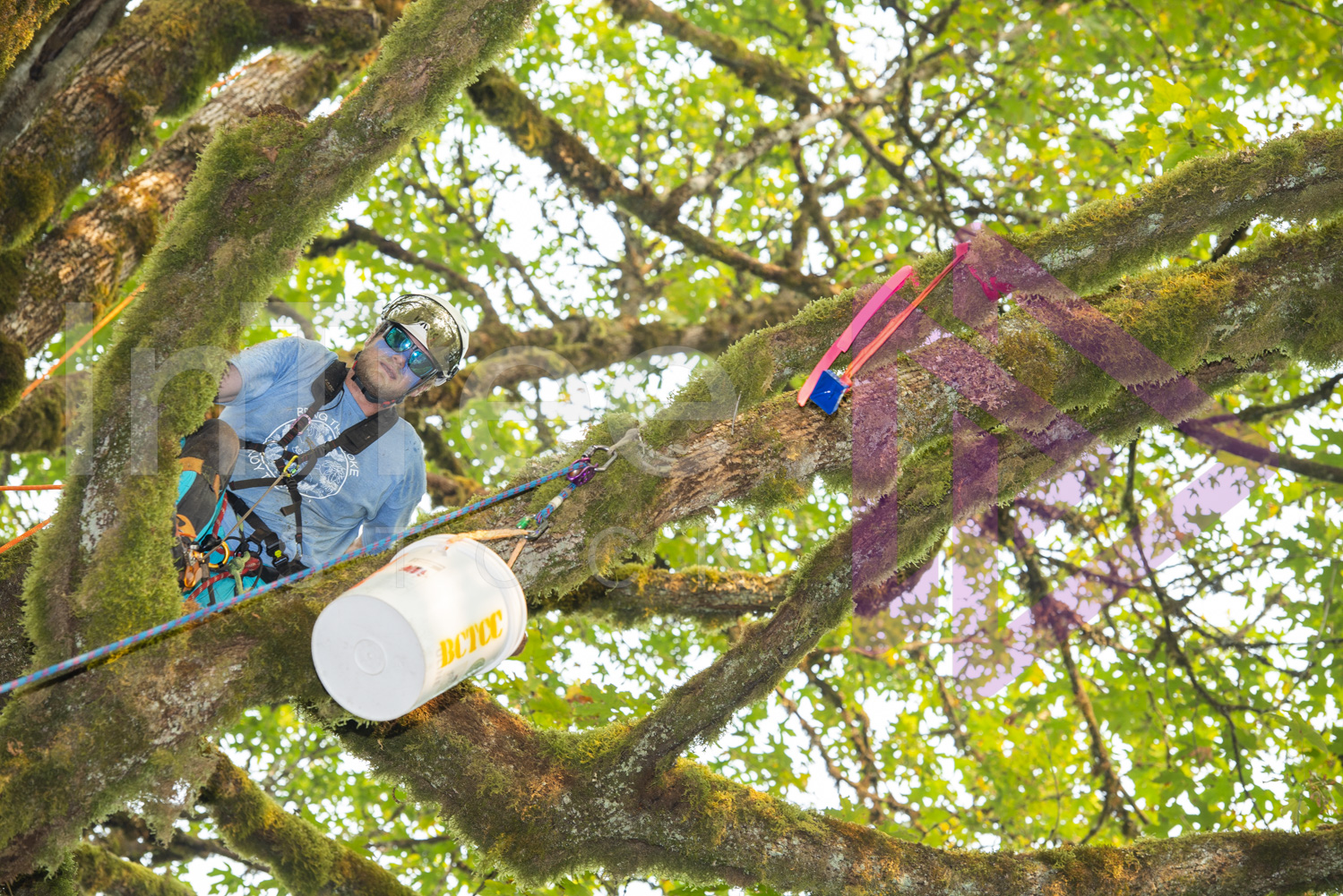 BCTCC_2022-Arborist-Stock-Photo-001-22-7305