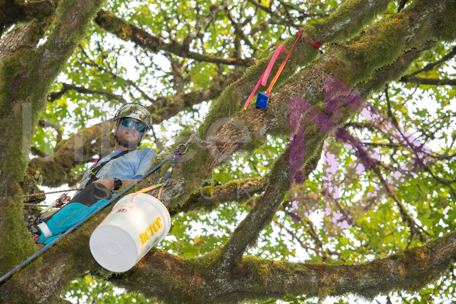 BCTCC_2022-Arborist-Stock-Photo-001-22-7308