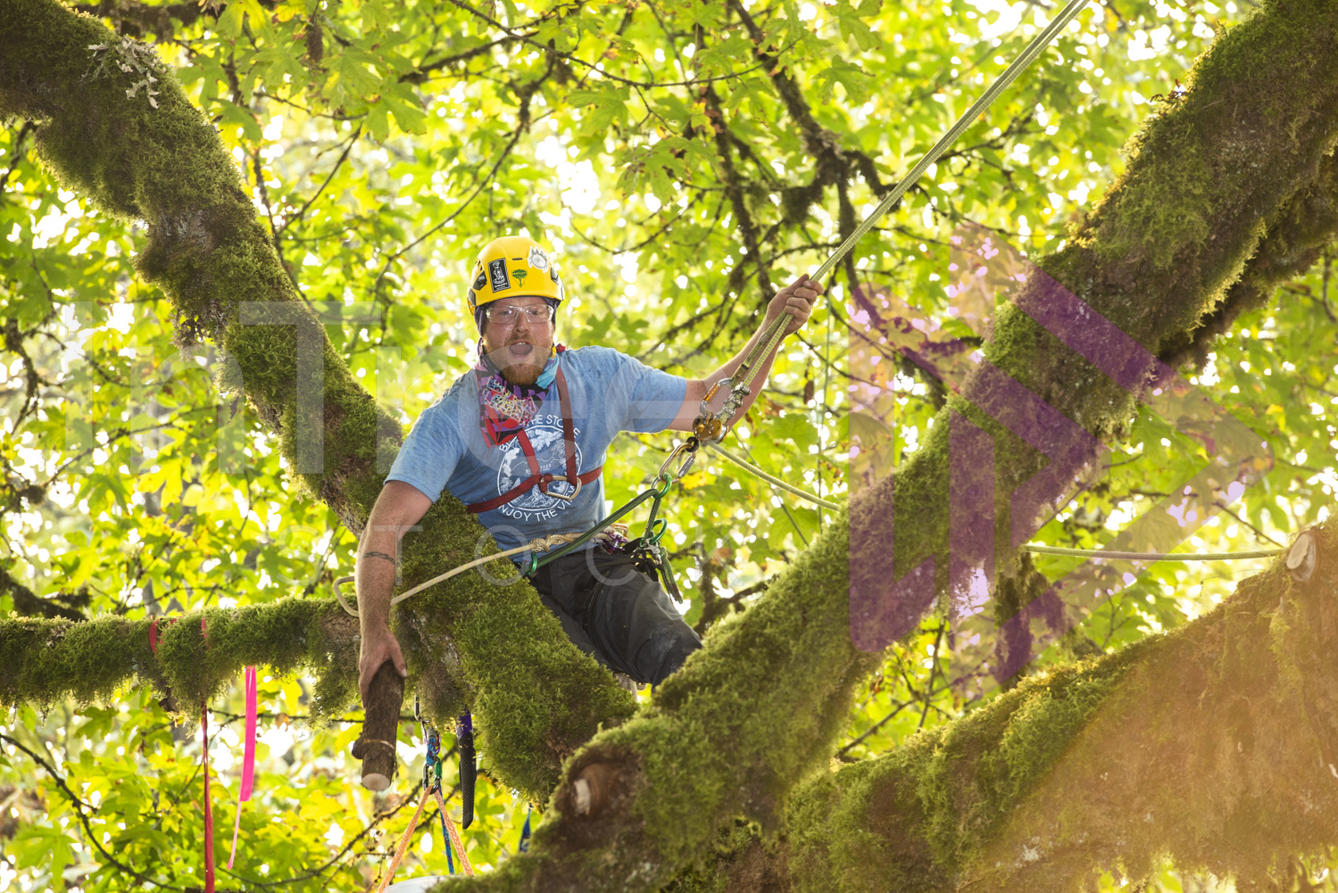 BCTCC_2022-Arborist-Stock-Photo-001-22-7342