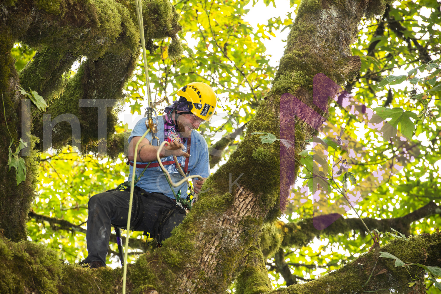 BCTCC_2022-Arborist-Stock-Photo-001-22-7347