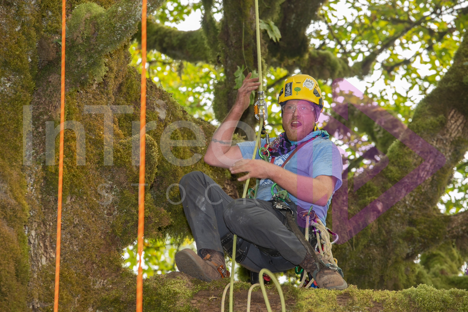 BCTCC_2022-Arborist-Stock-Photo-001-22-7364