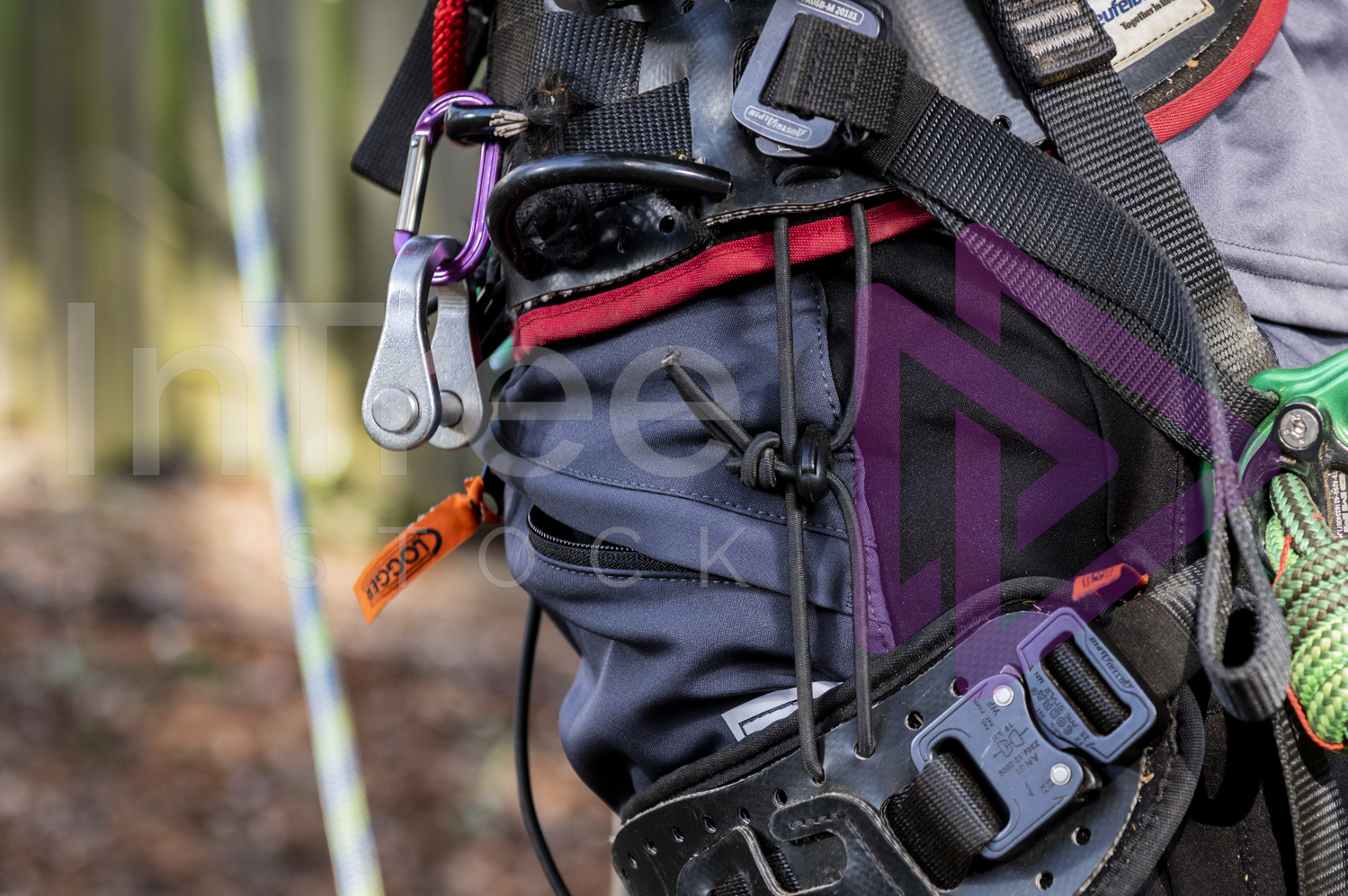 Climbing hardware attached to arborist harness