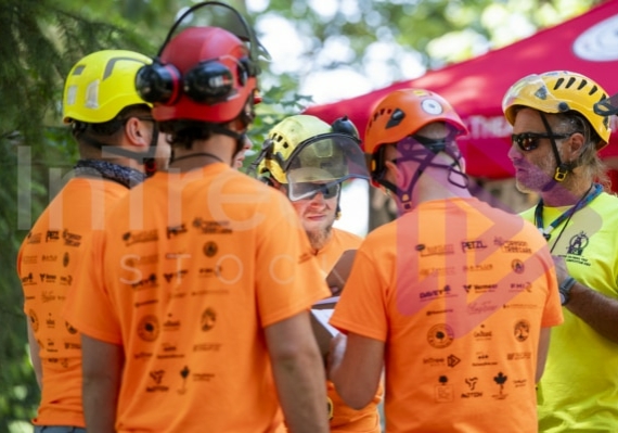 Arborist tree climbing competition BCTCC 2023 tree climbing competition