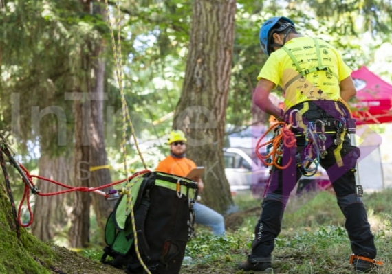 Arborist tree climbing competition BCTCC 2023 tree climbing competition