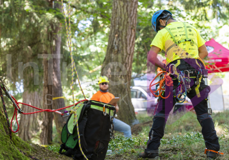 Arborist tree climbing competition BCTCC 2023 tree climbing competition