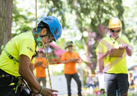 Arborist tree climbing competition BCTCC 2023 tree climbing competition
