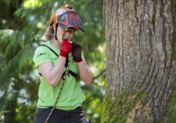 Arborist tree climbing competition BCTCC 2023 tree climbing competition