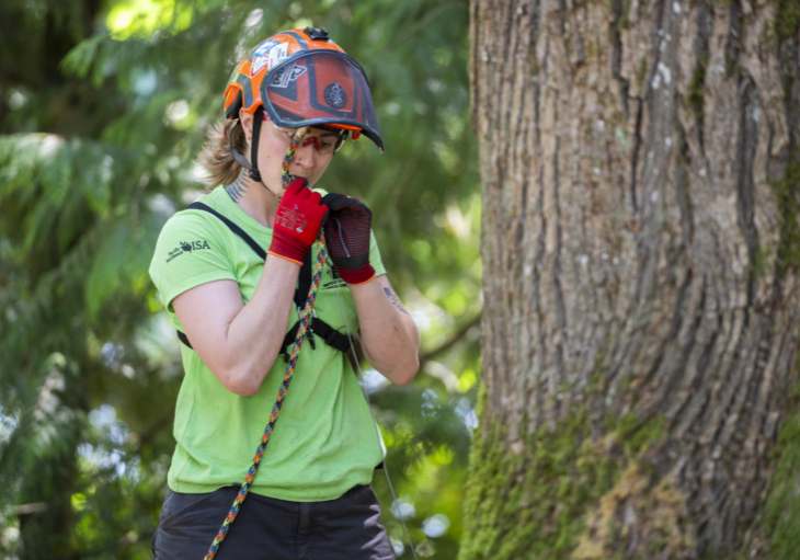 Arborist tree climbing competition BCTCC 2023 tree climbing competition