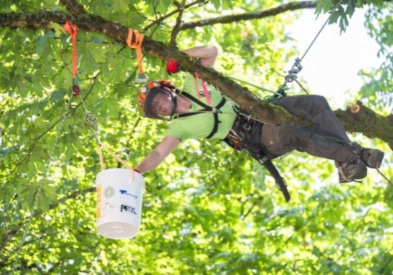 Arborist tree climbing competition BCTCC 2023 tree climbing competition