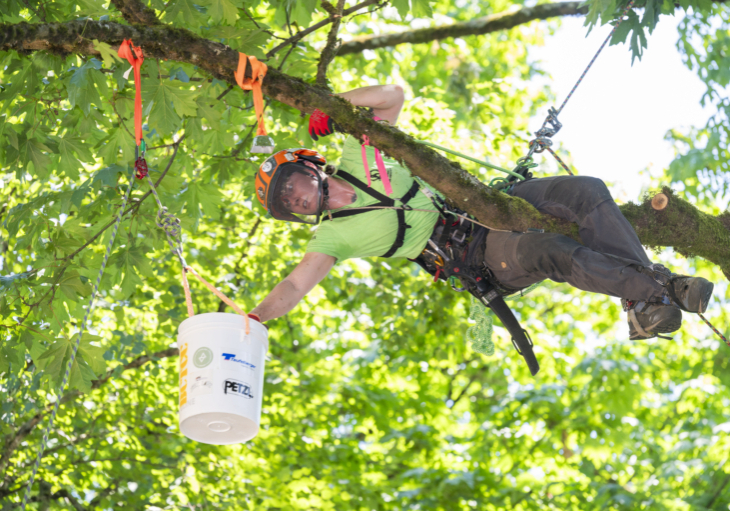 Arborist tree climbing competition BCTCC 2023 tree climbing competition