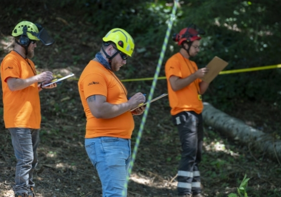 Arborist tree climbing competition BCTCC 2023 tree climbing competition