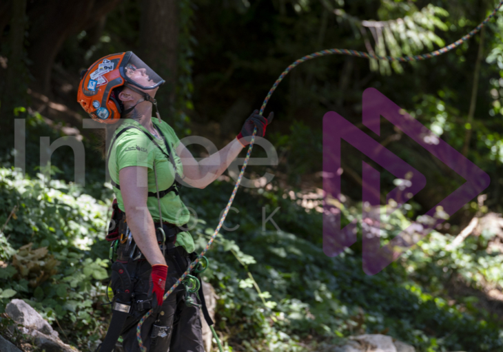 Arborist tree climbing competition BCTCC 2023 tree climbing competition