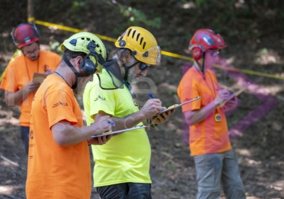 Arborist tree climbing competition BCTCC 2023 tree climbing competition
