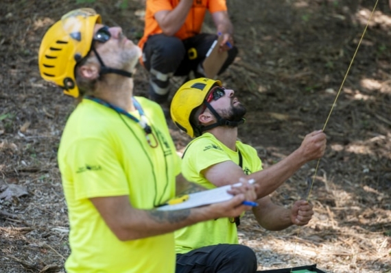 Arborist tree climbing competition BCTCC 2023 tree climbing competition