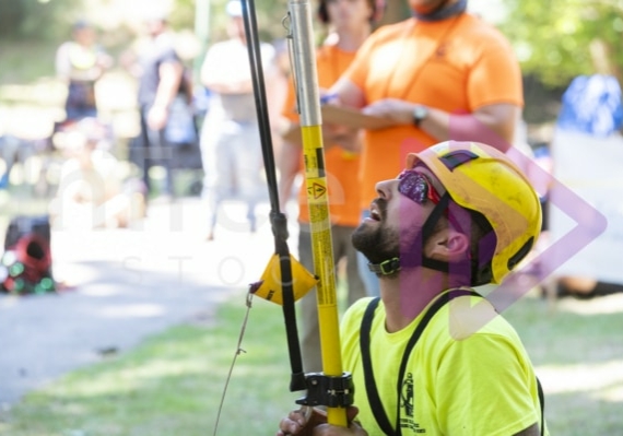 Arborist tree climbing competition BCTCC 2023 tree climbing competition