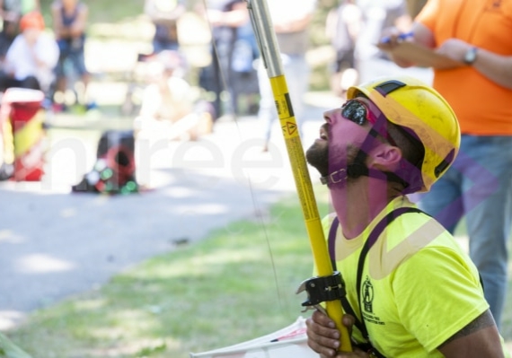Arborist tree climbing competition BCTCC 2023 tree climbing competition