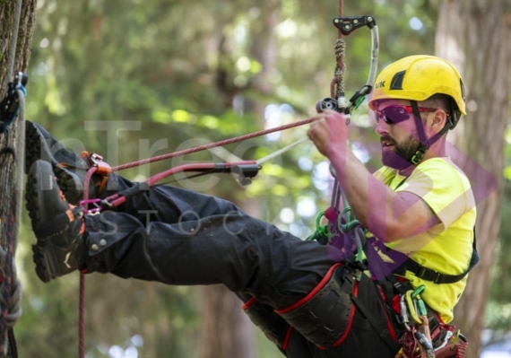 Arborist tree climbing competition BCTCC 2023 tree climbing competition