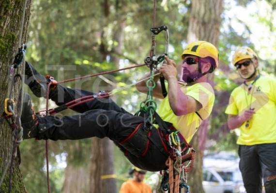 Arborist tree climbing competition BCTCC 2023 tree climbing competition