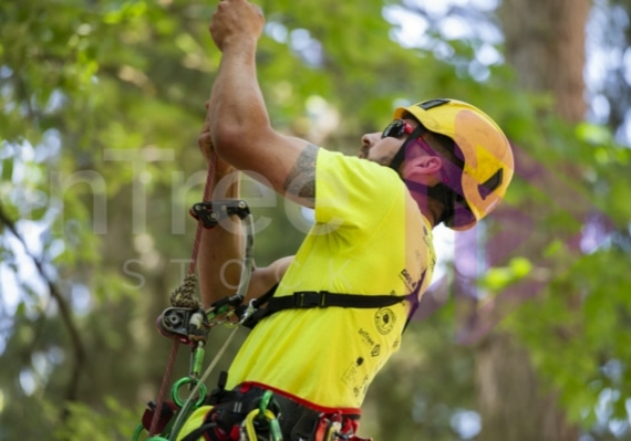 Arborist tree climbing competition BCTCC 2023 tree climbing competition