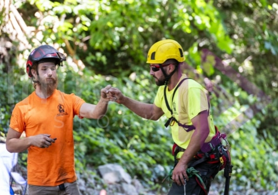 BCTCC 2023 tree climbing competition