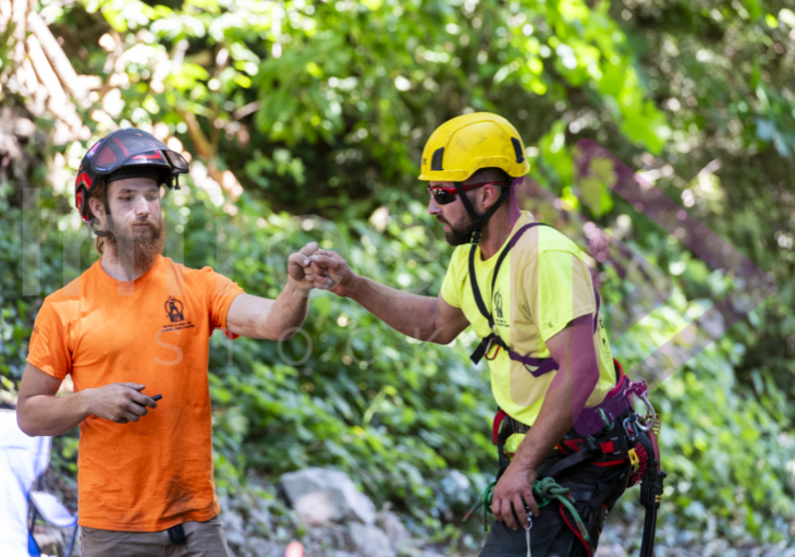 Arborist tree climbing competition BCTCC 2023 tree climbing competition
