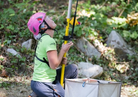 Arborist tree climbing competition BCTCC 2023 tree climbing competition