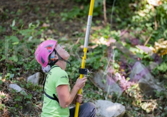 Arborist tree climbing competition BCTCC 2023 tree climbing competition