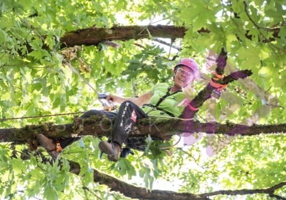 Arborist tree climbing competition BCTCC 2023 tree climbing competition