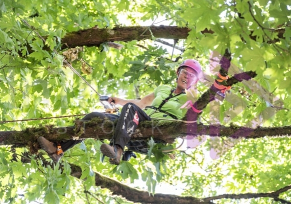 BCTCC 2023 tree climbing competition