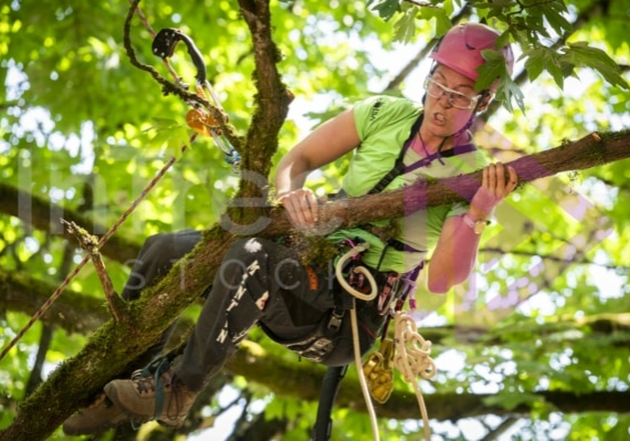 Arborist tree climbing competition BCTCC 2023 tree climbing competition