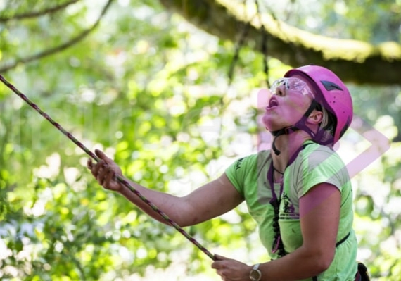 BCTCC 2023 tree climbing competition