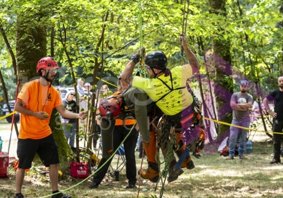Arborist tree climbing competition BCTCC 2023 tree climbing competition