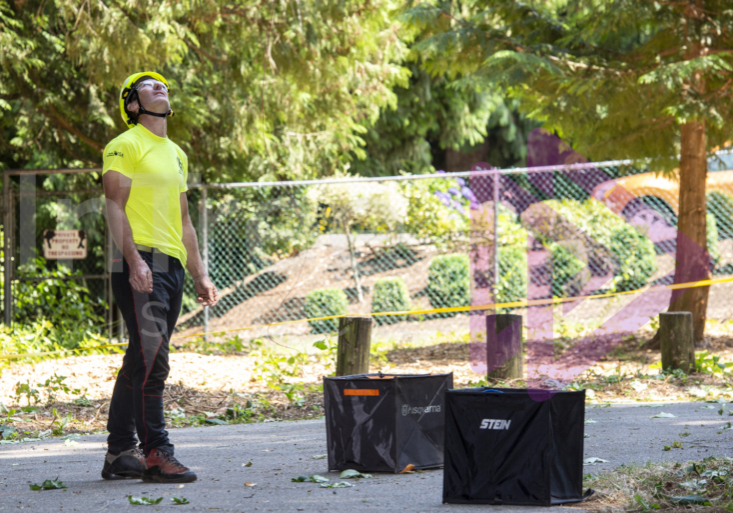 Arborist tree climbing competition BCTCC 2023 tree climbing competition