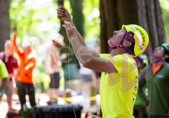 Arborist tree climbing competition BCTCC 2023 tree climbing competition