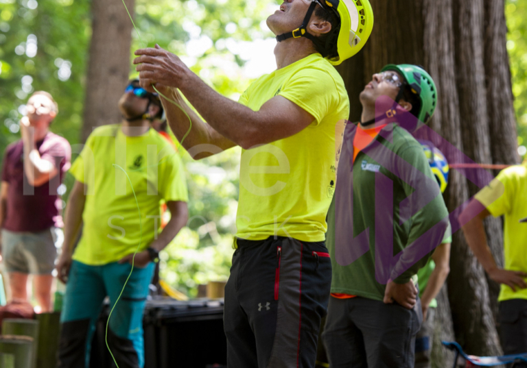 Arborist tree climbing competition BCTCC 2023 tree climbing competition