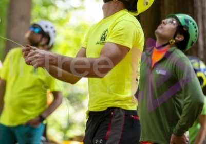 Arborist tree climbing competition BCTCC 2023 tree climbing competition