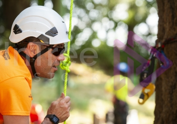 Arborist tree climbing competition BCTCC 2023 tree climbing competition