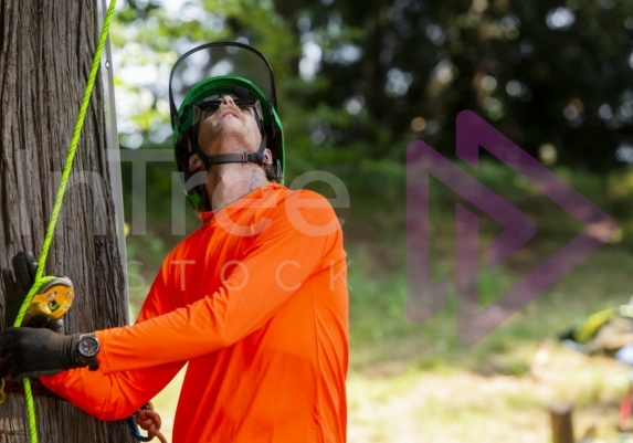 Arborist tree climbing competition BCTCC 2023 tree climbing competition