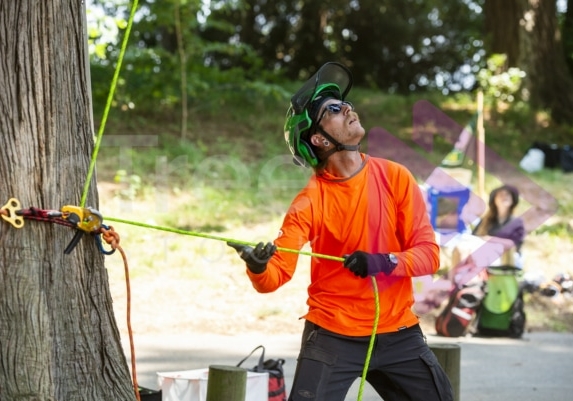 Arborist tree climbing competition BCTCC 2023 tree climbing competition