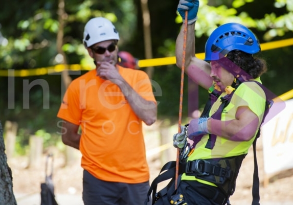 Arborist tree climbing competition BCTCC 2023 tree climbing competition