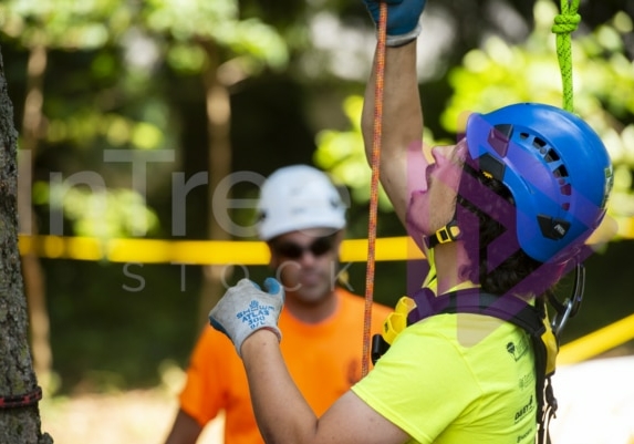 Arborist tree climbing competition BCTCC 2023 tree climbing competition