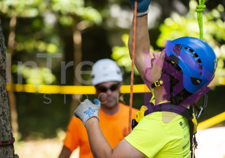 Arborist tree climbing competition BCTCC 2023 tree climbing competition