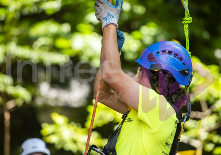 Arborist tree climbing competition BCTCC 2023 tree climbing competition