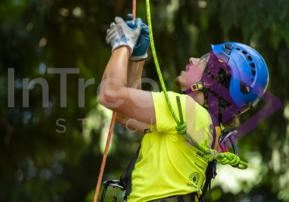 Arborist tree climbing competition BCTCC 2023 tree climbing competition