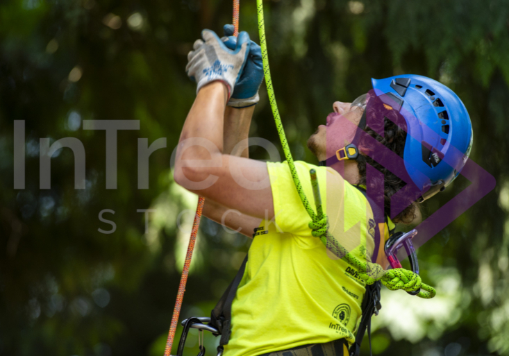 Arborist tree climbing competition BCTCC 2023 tree climbing competition